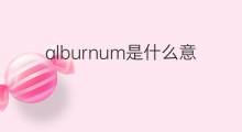 alburnum是什么意思 alburnum的中文翻译、读音、例句