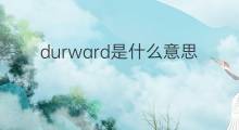 durward是什么意思 英文名durward的翻译、发音、来源