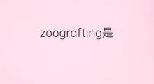 zoografting是什么意思 zoografting的中文翻译、读音、例句