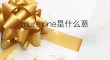 murexine是什么意思 murexine的中文翻译、读音、例句