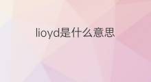 lioyd是什么意思 lioyd的中文翻译、读音、例句