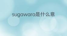 sugawara是什么意思 sugawara的中文翻译、读音、例句