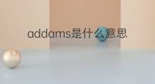addams是什么意思 addams的中文翻译、读音、例句
