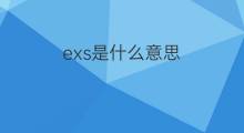 exs是什么意思 exs的中文翻译、读音、例句