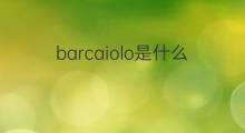 barcaiolo是什么意思 barcaiolo的中文翻译、读音、例句