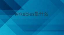 kirkebies是什么意思 kirkebies的翻译、读音、例句、中文解释