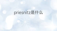 priesnitz是什么意思 priesnitz的中文翻译、读音、例句