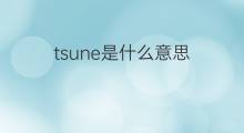 tsune是什么意思 tsune的中文翻译、读音、例句