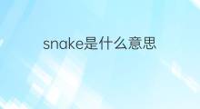 snake是什么意思 snake的中文翻译、读音、例句