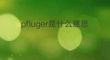 pfluger是什么意思 pfluger的中文翻译、读音、例句