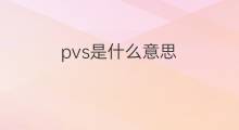 pvs是什么意思 pvs的中文翻译、读音、例句