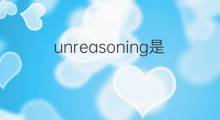 unreasoning是什么意思 unreasoning的中文翻译、读音、例句