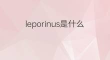 leporinus是什么意思 leporinus的翻译、读音、例句、中文解释
