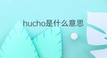 hucho是什么意思 hucho的中文翻译、读音、例句