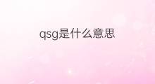 qsg是什么意思 qsg的中文翻译、读音、例句