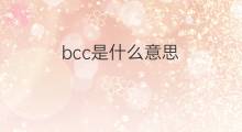 bcc是什么意思 bcc的中文翻译、读音、例句