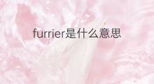 furrier是什么意思 furrier的中文翻译、读音、例句