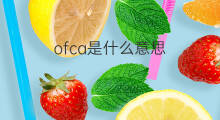 ofca是什么意思 ofca的中文翻译、读音、例句