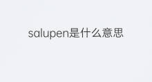 salupen是什么意思 salupen的中文翻译、读音、例句