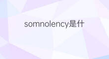 somnolency是什么意思 somnolency的中文翻译、读音、例句