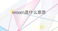 waam是什么意思 waam的中文翻译、读音、例句