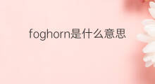 foghorn是什么意思 foghorn的中文翻译、读音、例句