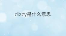dizzy是什么意思 dizzy的中文翻译、读音、例句