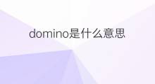 domino是什么意思 domino的中文翻译、读音、例句