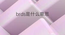 brds是什么意思 brds的中文翻译、读音、例句