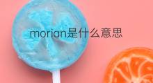 morian是什么意思 morian的中文翻译、读音、例句