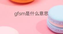 gfsm是什么意思 gfsm的中文翻译、读音、例句