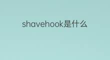 shavehook是什么意思 shavehook的中文翻译、读音、例句