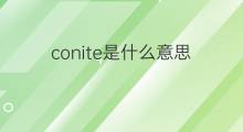 conite是什么意思 conite的中文翻译、读音、例句