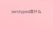 serotyped是什么意思 serotyped的中文翻译、读音、例句