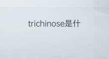 trichinose是什么意思 trichinose的中文翻译、读音、例句