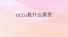 accu是什么意思 accu的中文翻译、读音、例句