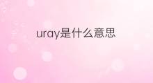 uray是什么意思 uray的中文翻译、读音、例句