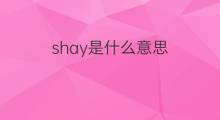 shay是什么意思 shay的中文翻译、读音、例句