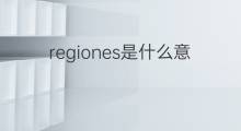 regiones是什么意思 regiones的中文翻译、读音、例句