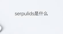 serpulids是什么意思 serpulids的中文翻译、读音、例句