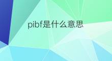 pibf是什么意思 pibf的翻译、读音、例句、中文解释