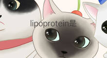 lipoprotein是什么意思 lipoprotein的中文翻译、读音、例句