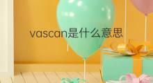 vascan是什么意思 vascan的中文翻译、读音、例句