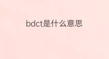 bdct是什么意思 bdct的中文翻译、读音、例句
