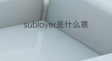 sublayer是什么意思 sublayer的中文翻译、读音、例句