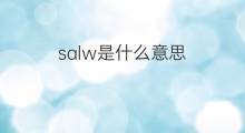 salw是什么意思 salw的中文翻译、读音、例句
