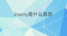 lawny是什么意思 lawny的中文翻译、读音、例句