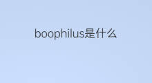 boophilus是什么意思 boophilus的中文翻译、读音、例句