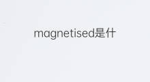 magnetised是什么意思 magnetised的中文翻译、读音、例句