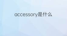 accessory是什么意思 accessory的中文翻译、读音、例句